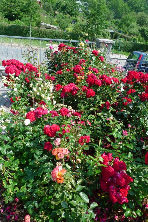 Country house Rosenhof In