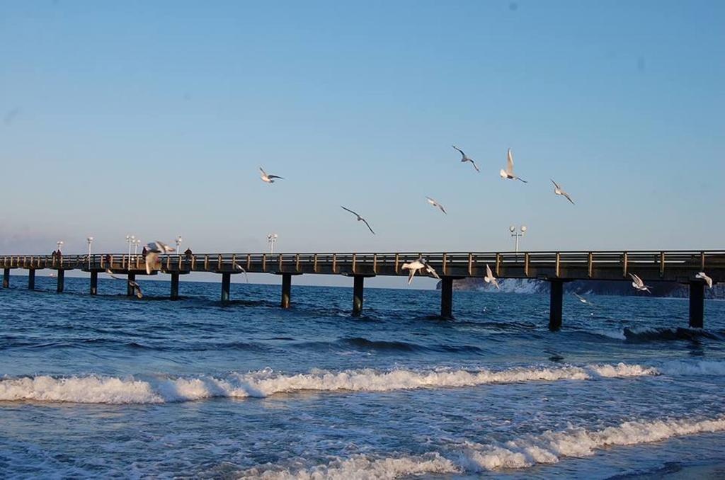 Rosenhof In Binz